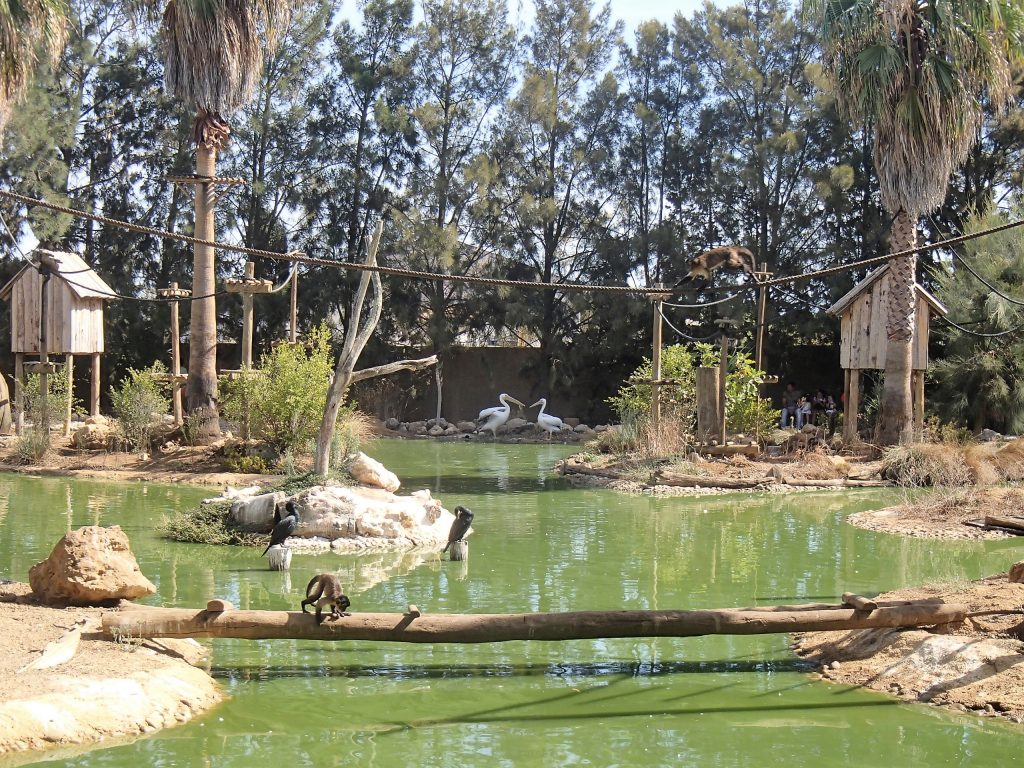zoo de lagos